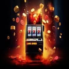 bet59544