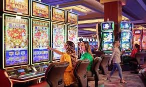bet59544